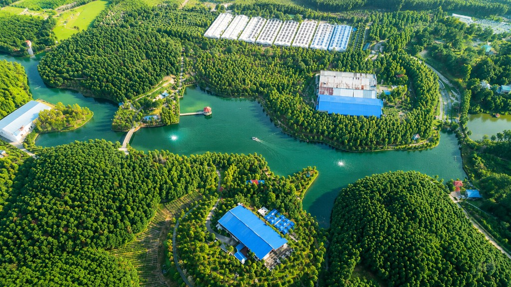 Định Hóa farm
